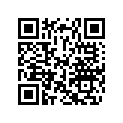 391302000 Washer 17/64