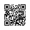 391370559 Stay-comp
