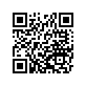 391561636