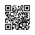 391562184 PAD,15X170X10