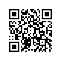 391581061