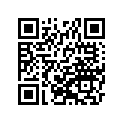 39183-1051 バンドアツシ,ブ-ツ