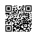 39183-1062 バンドアツシ,ブ-ツ