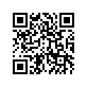 391930567 Pipe-oil