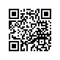 39P-21287-00-00 Кронштейн