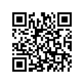 3D7-W0045-10-00 Колодки Тормозные (К-т 2 шт.)