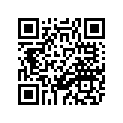 3DM-11351-00-00 Прокладка Цилиндра