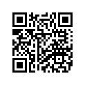 3DR-W253E-00-00 Колодки Тормозные (К-т 2 шт.)