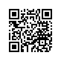 3GD-21691-00-00 FLAP