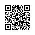 3GG-27446-00-00 PLATE 2