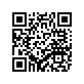 3GM-14107-17-00 Клапан Игольчатый