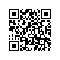 3KM-23110-00-00 Inner Tube 1