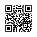 3LD-11656-20-00 PLANE BRNG,CON ROD