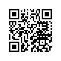 3P6-24773-00-P6 Ручка Сиденья
