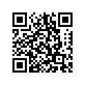3P6-83509-00-00 Провода Электрические (К-т)