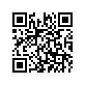 3P6-W0045-00-00 Колодки тормозные