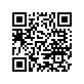 3V1031690 PLUG