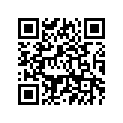 3XP-22199-03-00 SUPPORT, CHAIN