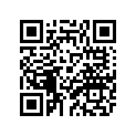 3XV-27445-00-00