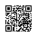 3YL-1131A-01-00