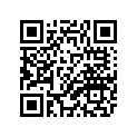 3YL-11536-01-00