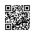 3YP-17151-01-00