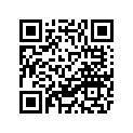 3YP-17251-01-00