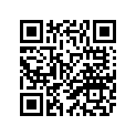 3YP-21110-00-WL 3YP2111001WL