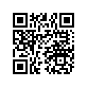 4010321 BLANK KEY, 22/23/27/28