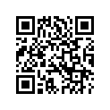 4029706 SHAFTEXTENSION