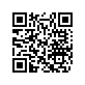 404140900 Rondelle *washer