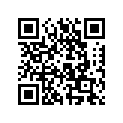 404142900 Anneau *ring