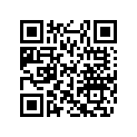 404156600 Cap