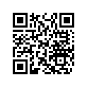 404161805 NEEDLE JET NJ 480 P-9