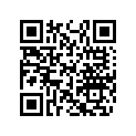 404161866 Adjusteur