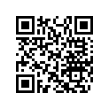 404161921 Anneau *ring