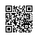 404161922 Rondelle *washer
