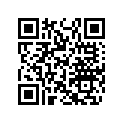 404161927 Levier *lever
