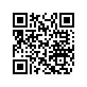404161993 O-Ring