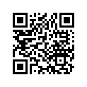 40531-427-013 Master Link