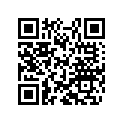 40540447 Shim 6x10x0,30