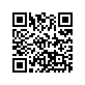 40541383 Shim 6X11X0,10