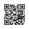 40541391 Shim 6x11x0,30