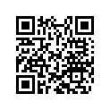 40541402 Shim 6x11x0,20