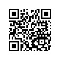 41002-1915 タイヤ,RR,110/90-17 60P,AC02(BS)