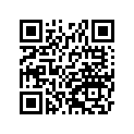 41009-0027 タイヤ,FR,3.00-21 51P,D603F(
