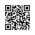 41009-0231 タイヤ,FR,2.50-14 4PR,GS-45F(IRC)