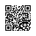 41009-1062 タイヤ,RR,140/90-16 71H,G544(BS)
