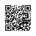 41009-1194 タイヤ,FR,2.75-21 45P,TW301(BS)