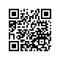 41009-1295 タイヤ,RR,140/90-16 71H,G702G(BS
